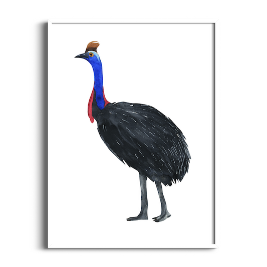 Cassowary | Australian Animals Art Print
