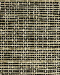 Sisal Grasscloth Wallpaper N168NS7009