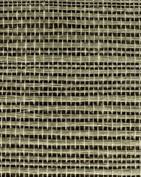 Sisal Grasscloth Wallpaper N168NS7009