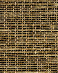 Sisal Grasscloth Wallpaper N168NS7009