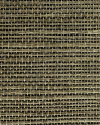 Sisal Grasscloth Wallpaper N168NS7009