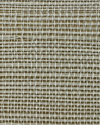 Sisal Grasscloth Wallpaper N168NS7009