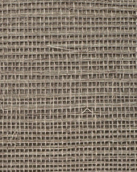 Sisal Grasscloth Wallpaper N168NS7009