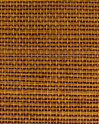 Sisal Grasscloth Wallpaper N168NS7009