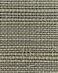 Sisal Grasscloth Wallpaper N168NS7009