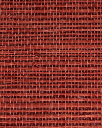 Sisal Grasscloth Wallpaper N168NS7009