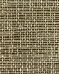 Sisal Grasscloth Wallpaper N168NS7009