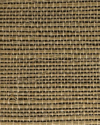 Sisal Grasscloth Wallpaper N168NS7009