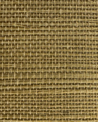 Sisal Grasscloth Wallpaper N168NS7009