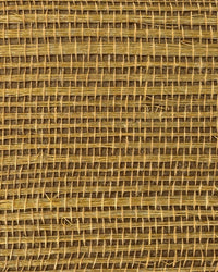 Sisal Grasscloth Wallpaper N168NS7009