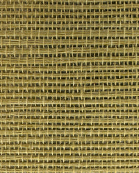 Sisal Grasscloth Wallpaper N168NS7009