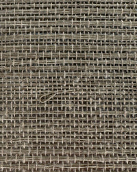 Sisal Grasscloth Wallpaper N168NS7009