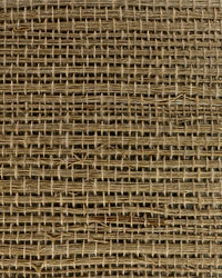 Sisal Grasscloth Wallpaper N168NS7009