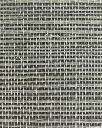 Sisal Grasscloth Wallpaper N168NS7009