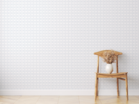 Sisal Grasscloth Wallpaper N168NS7009