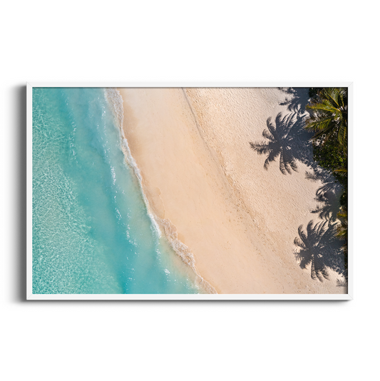 Palm Tree Beach | Aerial Drone Art Print